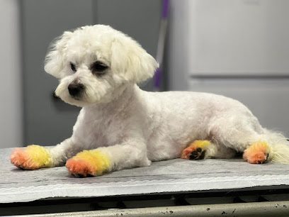 ARCA PET VET Strada Uzinei