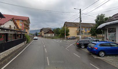 ARTEMIS S.R.L. Strada Tineretului