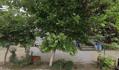 Al Shefa Farm Drogherie Dăbuleni