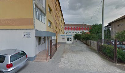 Alba vet depozit Strada Doctor Aurel Lazăr 3