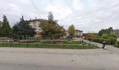 All Vet Line Strada Petre Dulfu