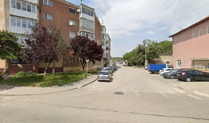 Animal Veter SRL Strada Republicii 100
