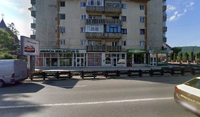 Atman Piața Republicii nr. 19