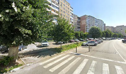 BALSAM S.R.L. Bd. Tineretului