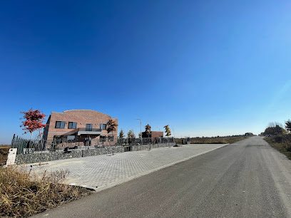 Bio Pharma System Strada Drumul Teilor