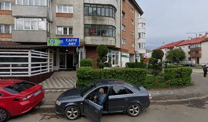 Bucovina Strada 1 Mai 12