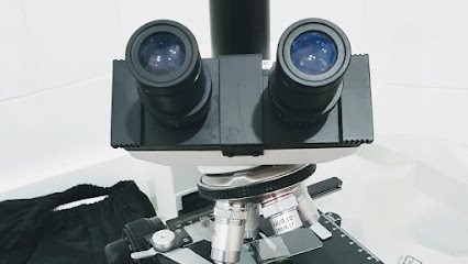 Cabinet Veterinar Medgidia a