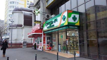 Catena Șoseaua Pantelimon 256