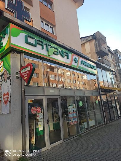 Catena Strada Gutinului 9