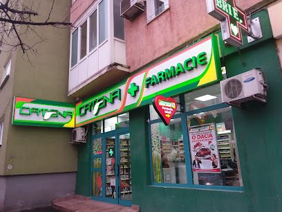 Catena Strada Semaforului 13