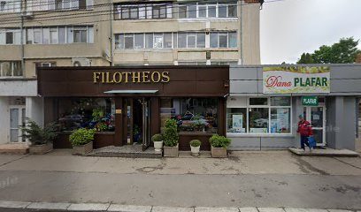 DANA PLAFAR Strada Carpați 15