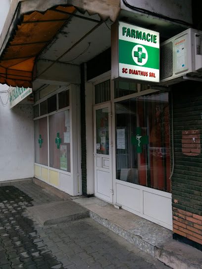 DIANTHUS Str. 23 August