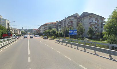 Deladi Farm Str. Clujului