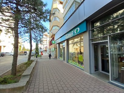 Dona Strada Curtea Domnească 4