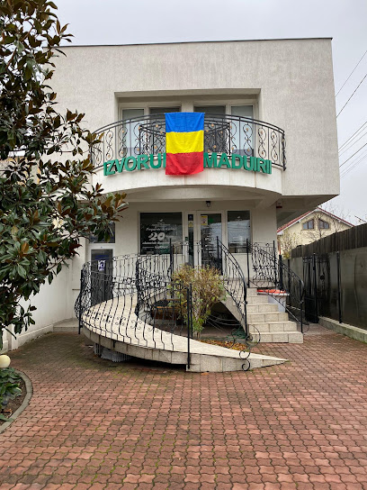 Drogheria Izvorul Tămăduirii Strada Vasile Alecsandri 58