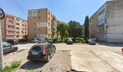 ELGAFARM Str. Aviatorilor