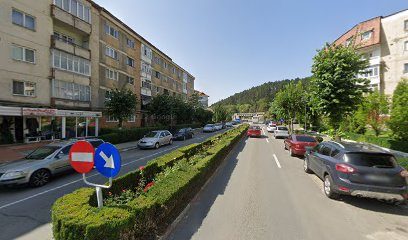 ENEFARM S.R.L. Strada Republicii