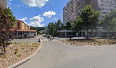 EUROFARM S.R.L. Bd. Republicii