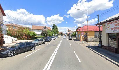 FARMA ROVIS Str. Victoriei