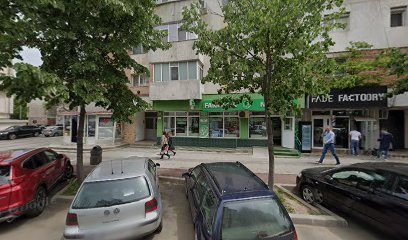 FARMACIA NEGRILĂ S.R.L Bd. Cosminului
