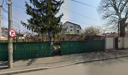 FRĂŢILESCU ELENA Strada Garoafei 19