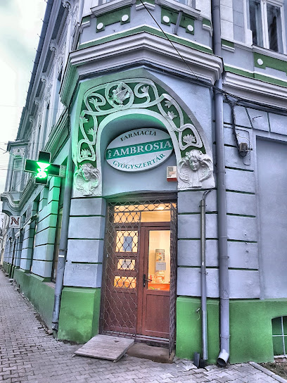 Farmacia AMBROSIA Piața Gábor Áron 12