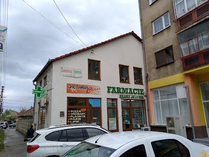 Farmacia Aldis Strada Dorin Pavel 53