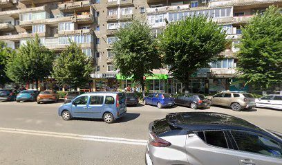 Farmacia Artemis Bulevardul Decebal Bl. 24