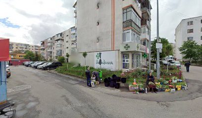 Farmacia BellaDona Aleea Caminului bl. F3 sc. A ap. 1
