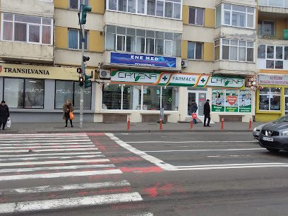 Farmacia Catena Strada Isaccei 4