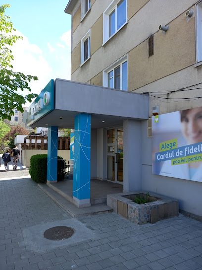 Farmacia Dona Bulevardul I. C. Brătianu 1