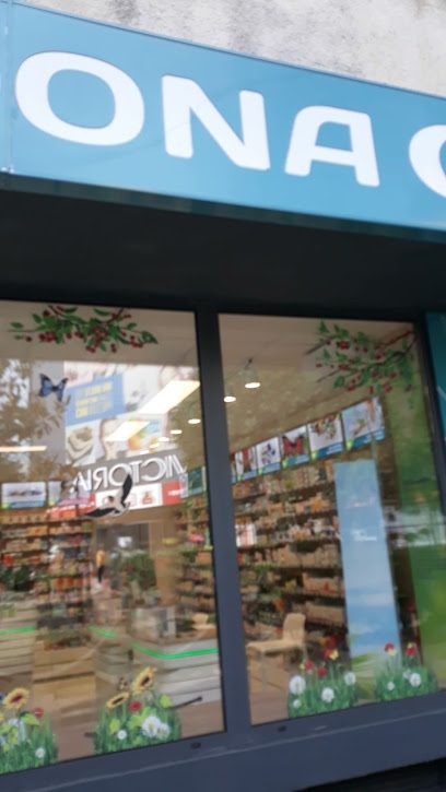 Farmacia Dona Strada Domnească 64