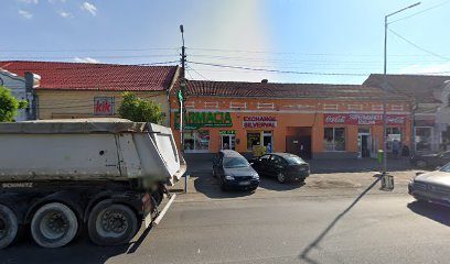 Farmacia Fortuna Strada Bobâlna 3