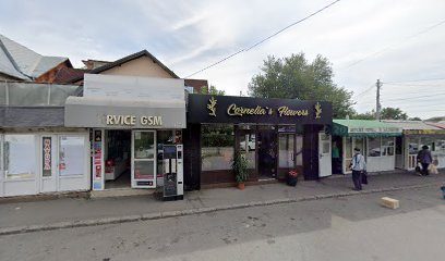 Farmacia Lorena Strada Columbelor