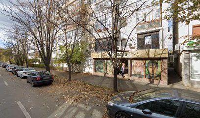 Farmacia Myosotis 54 Str. Gheorghe Doja 9