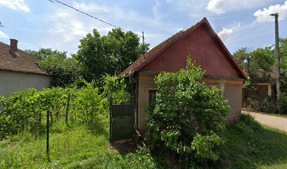 Farmacia Narcis Farm DC113 15
