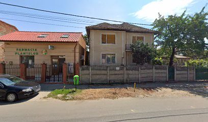 Farmacia Plantelor Strada Nicolae Bălcescu 35