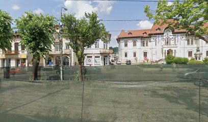 Farmacia Saldovin Strada Negru Vodă 55
