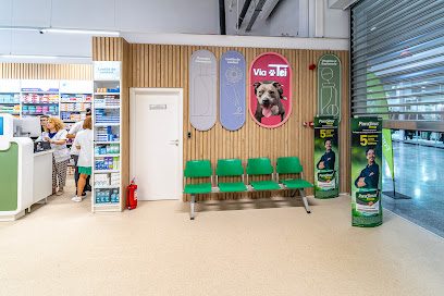 Farmacia Tei Pitesti Strada Constantin Dobrogeanu Gherea 1