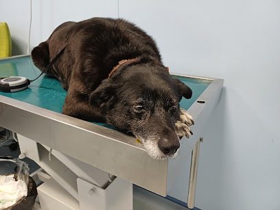 Farmacia Veterinara FMV SRL Splaiul Independenței 105