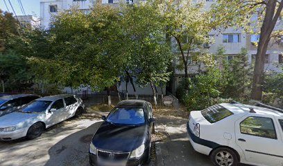 Farmacia Veterinara Leul De Aur Strada Anghel Saligny 112