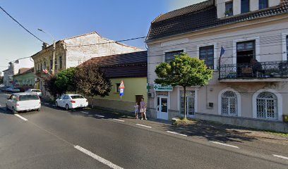 Farmacie Melilotus Recaș