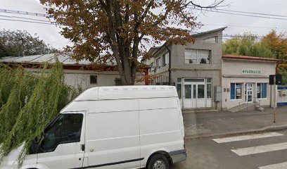 Farmacie Strada Traian 301