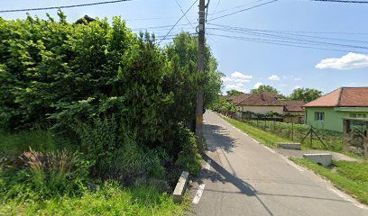 Farmacie Valeriana Strada Zarandului