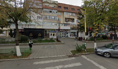 Farmacie Veterinara Hârlău 705100