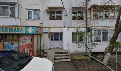 Farmacie Veterinară (La Petrică) Strada Mareșal Constantin Prezan 2