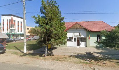Farmacie Veterinara MVET Service Bulevardul 22 Decembrie 1989 nr. 113
