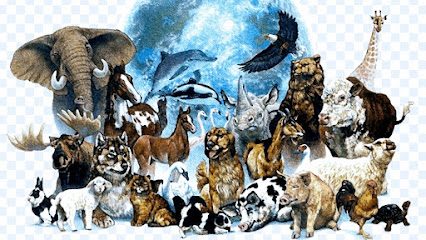 Farmacie Veterinara Planet vet Strada Izvorul Rece 10
