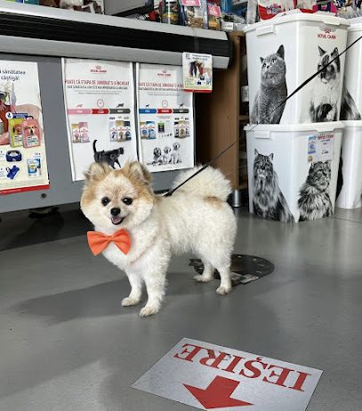 Farmacie Veterinara si Frizerie Canina Strada Termocentralei