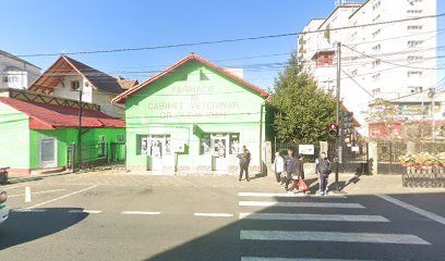 Farmacie Ṣi Cabinet Veterinar Dr. Cleja Ioan Strada Gheorghe Doja 14